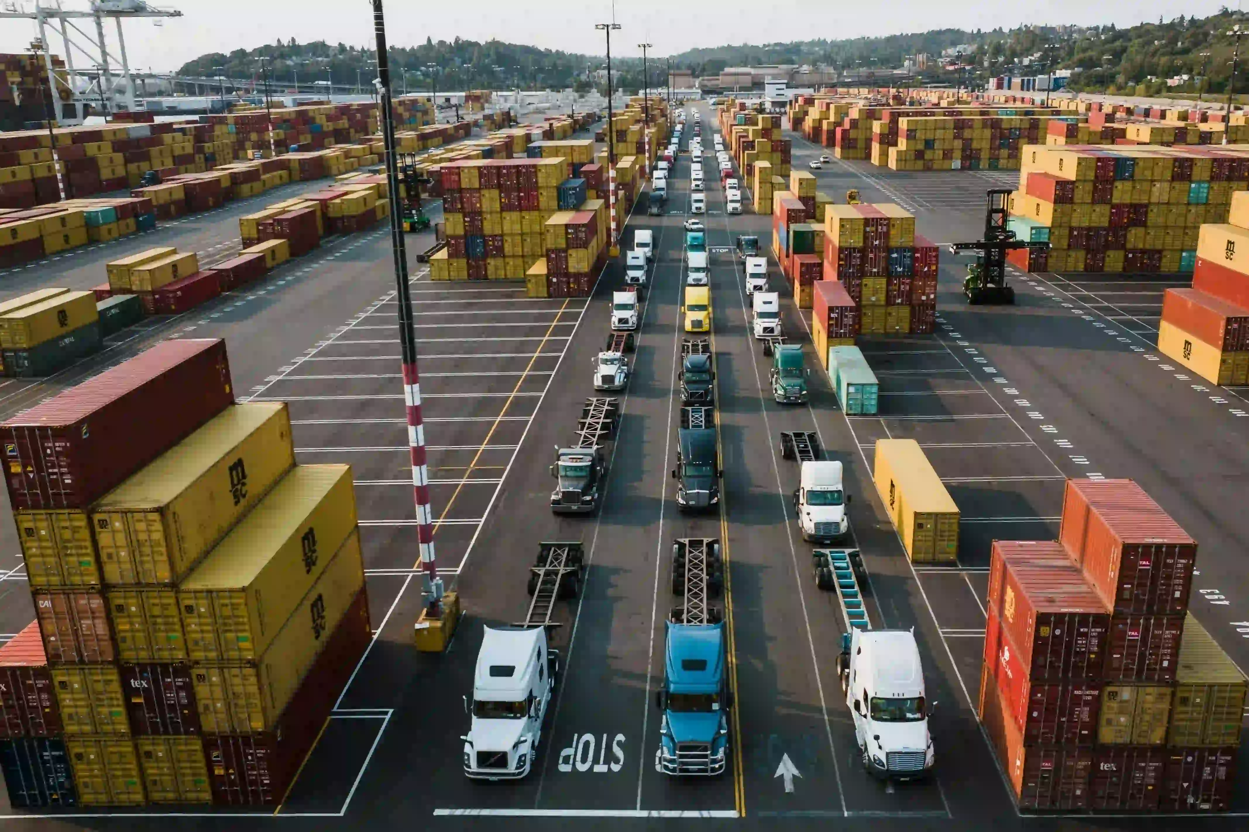 Distribution Services